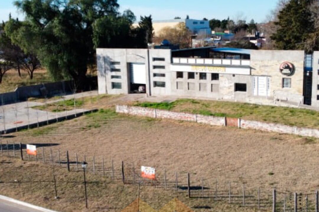 WhatsApp Image 2026-02-24 at 12.06.10 (1)