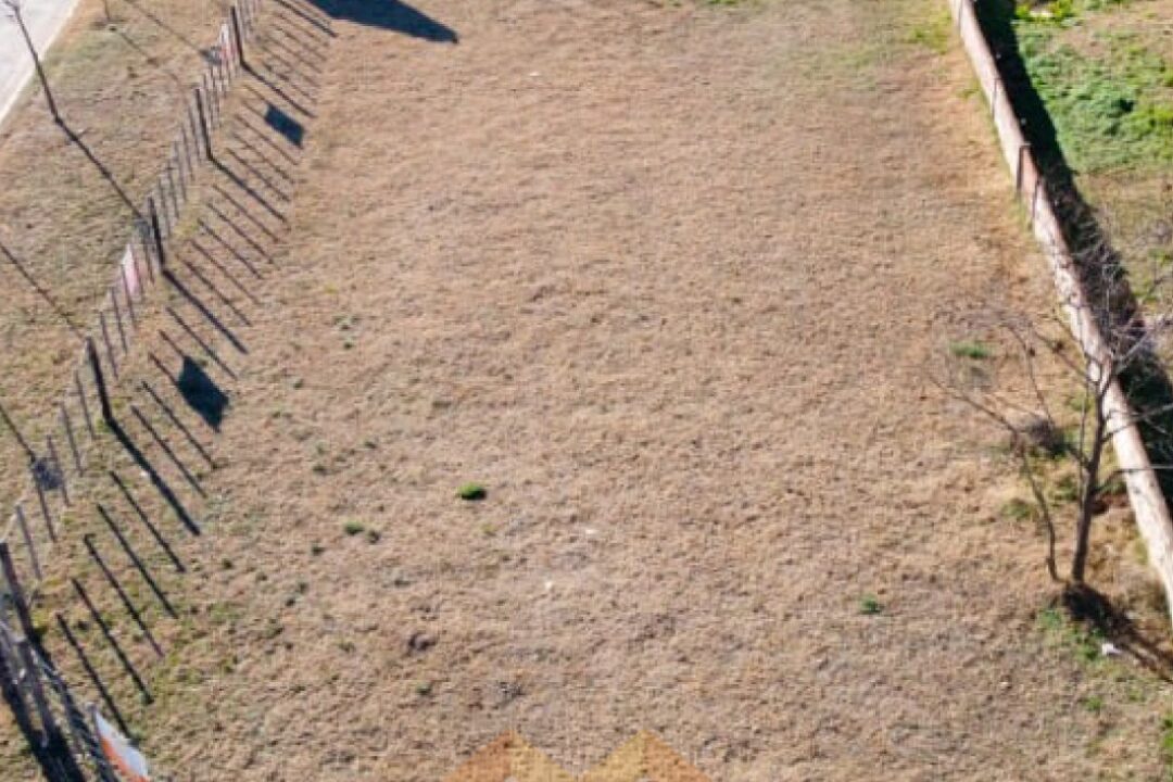 WhatsApp Image 2026-02-24 at 12.06.10