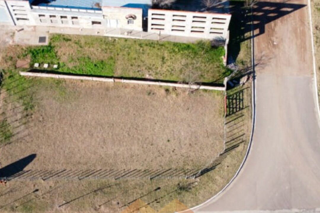 WhatsApp Image 2026-02-24 at 12.06.10 (2)