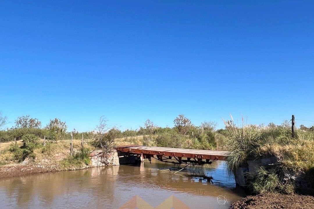 WhatsApp Image 2025-06-25 at 09.48.32 (1)