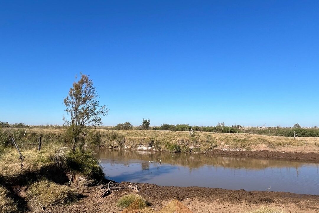 WhatsApp Image 2025-06-25 at 09.48.32 (2)