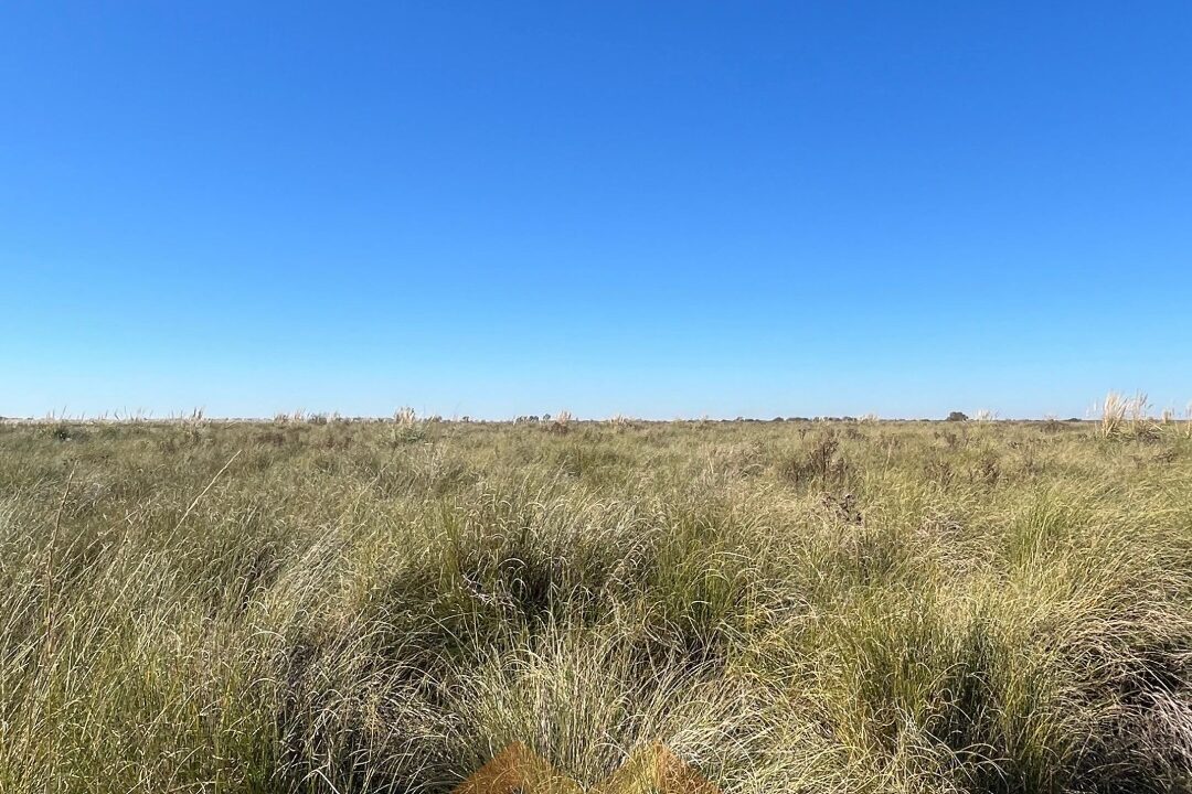 WhatsApp Image 2025-06-25 at 09.48.33 (1)