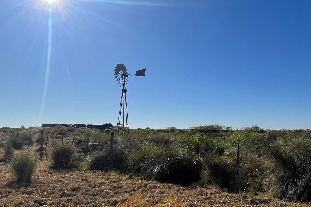 WhatsApp Image 2025-06-25 at 09.48.33 (2)