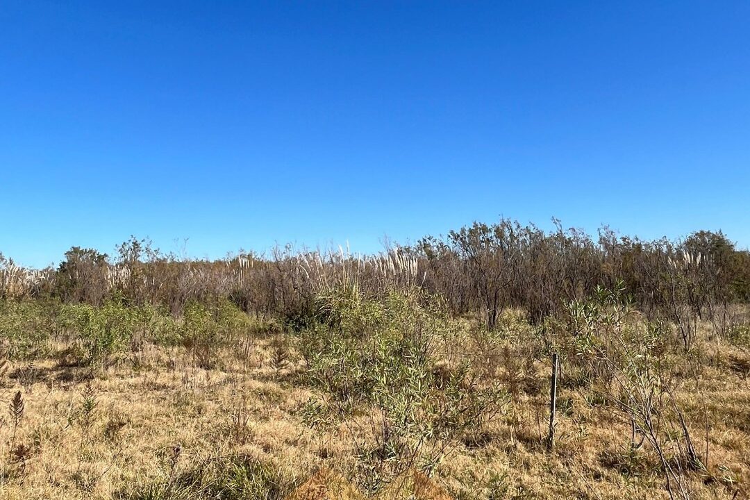 WhatsApp Image 2025-06-25 at 09.48.34 (1)