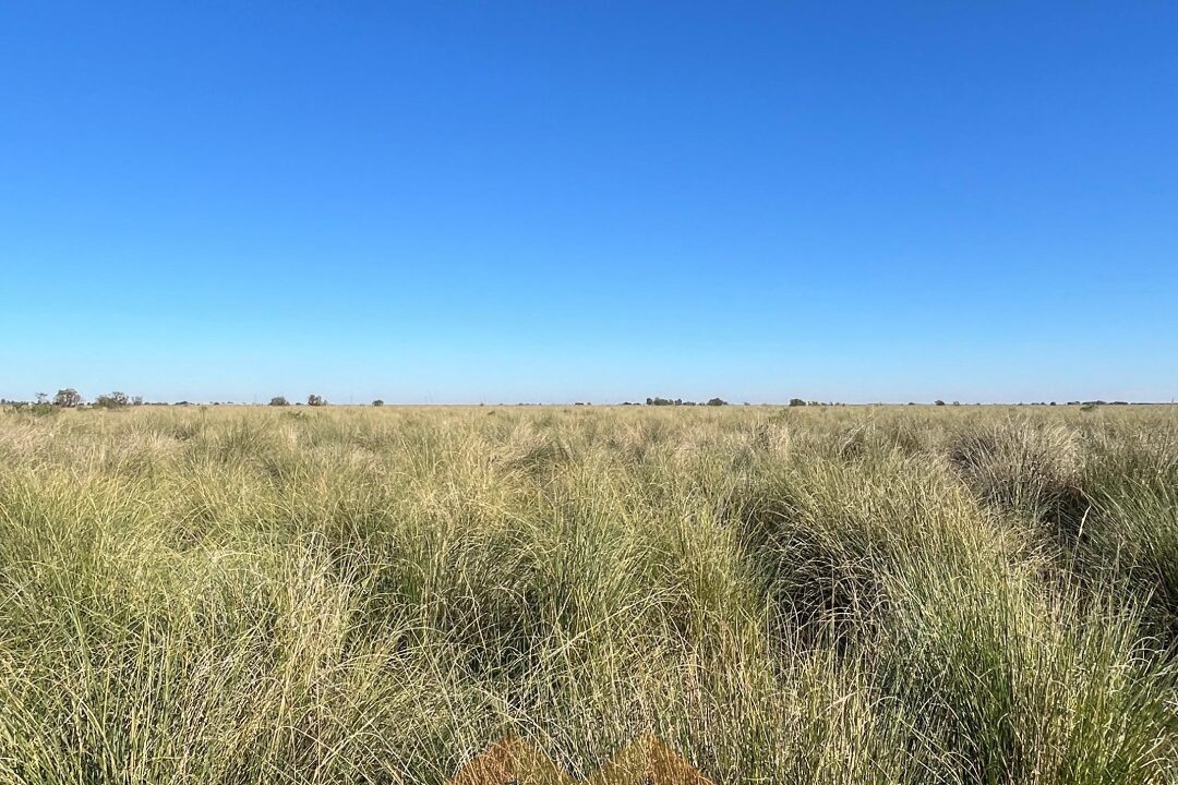 WhatsApp Image 2025-06-25 at 09.48.34