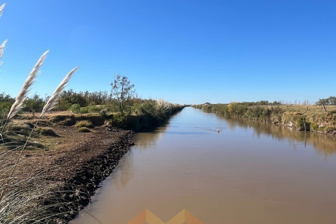 WhatsApp Image 2025-06-25 at 09.48.35 (1)