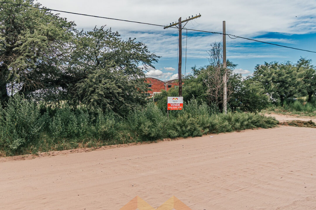 430597400_815369623967517_7667753851963022389_n