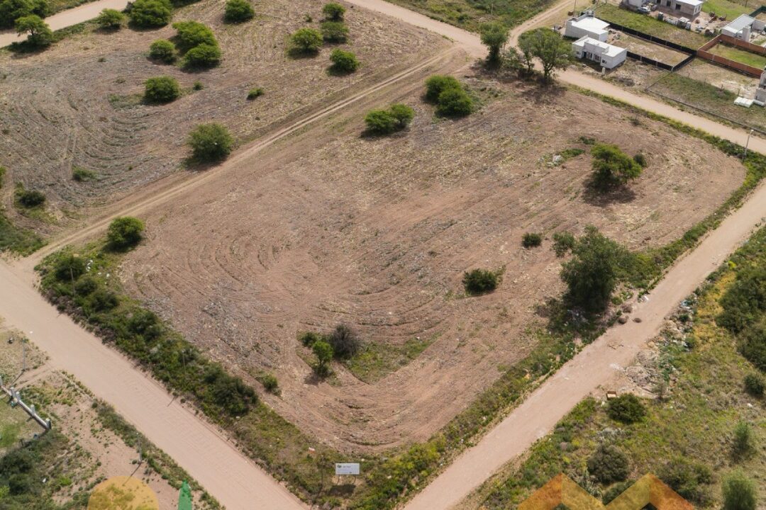 WhatsApp Image 2025-11-07 at 10.41.55 (1)