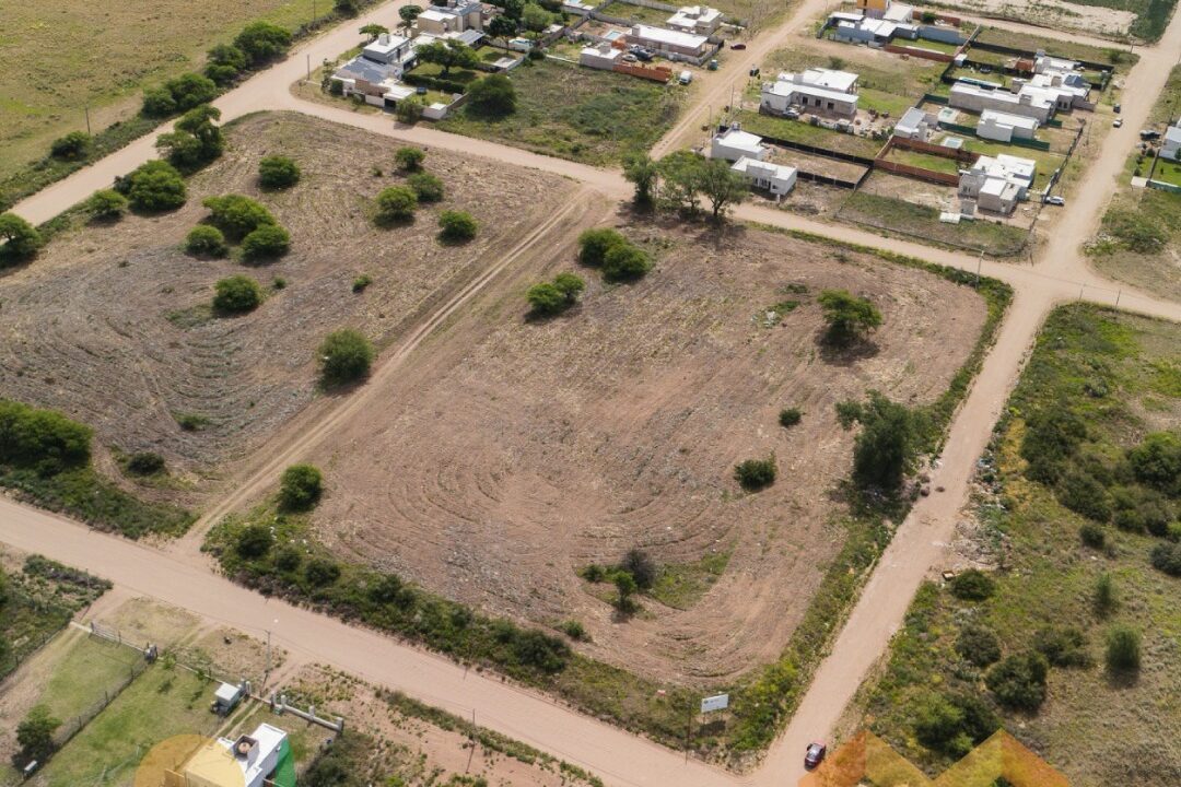 WhatsApp Image 2025-11-07 at 10.41.55