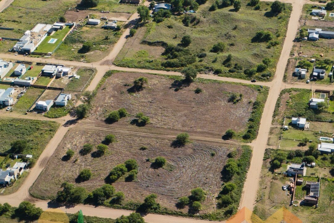 WhatsApp Image 2025-11-07 at 10.41.56 (1)