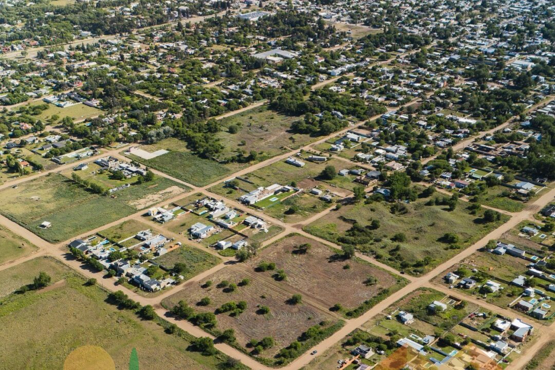 WhatsApp Image 2025-11-07 at 10.41.57