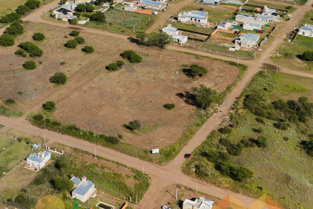 WhatsApp Image 2025-11-07 at 10.41.59