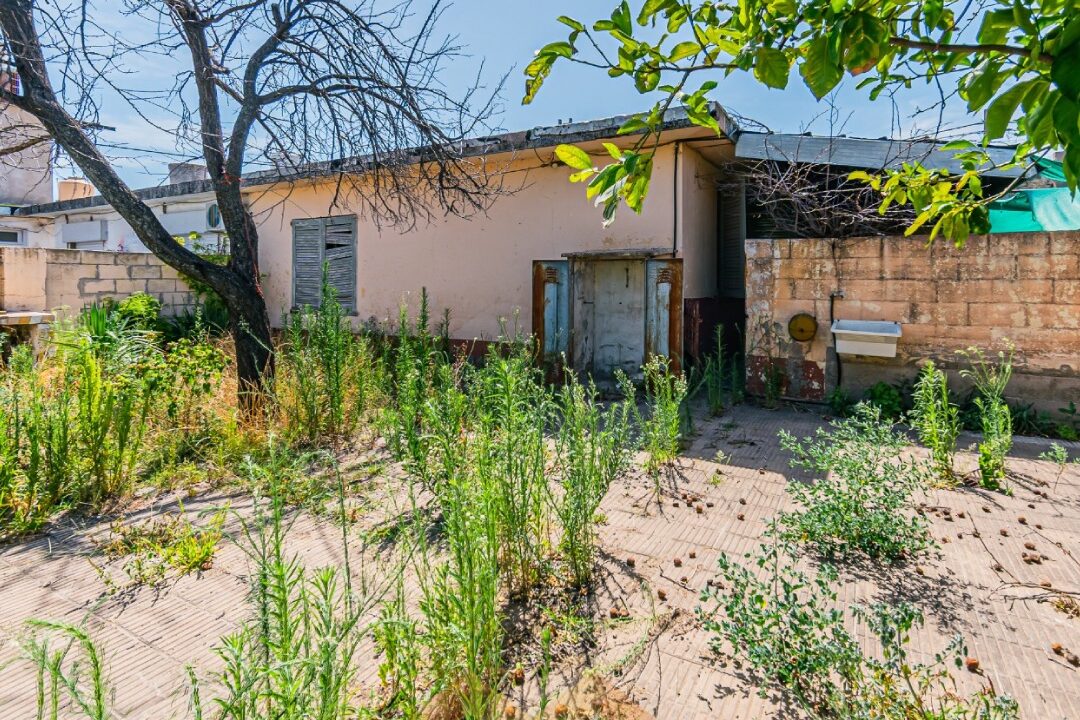 WhatsApp Image 2026-01-06 at 10.59.35 AM (2)