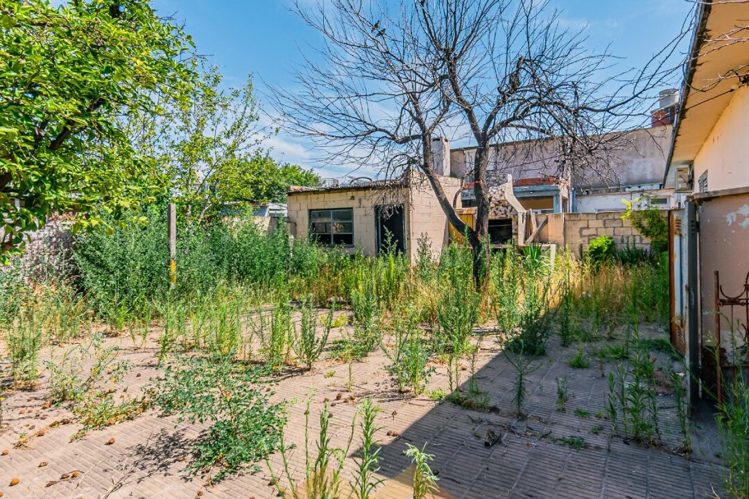 WhatsApp Image 2026-01-06 at 10.59.41 AM