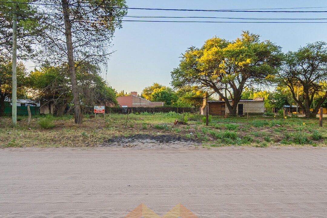 WhatsApp Image 2026-01-15 at 1.04.05 PM (1)