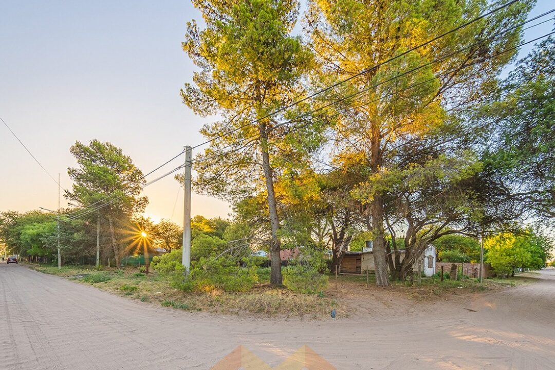 WhatsApp Image 2026-01-15 at 1.04.05 PM