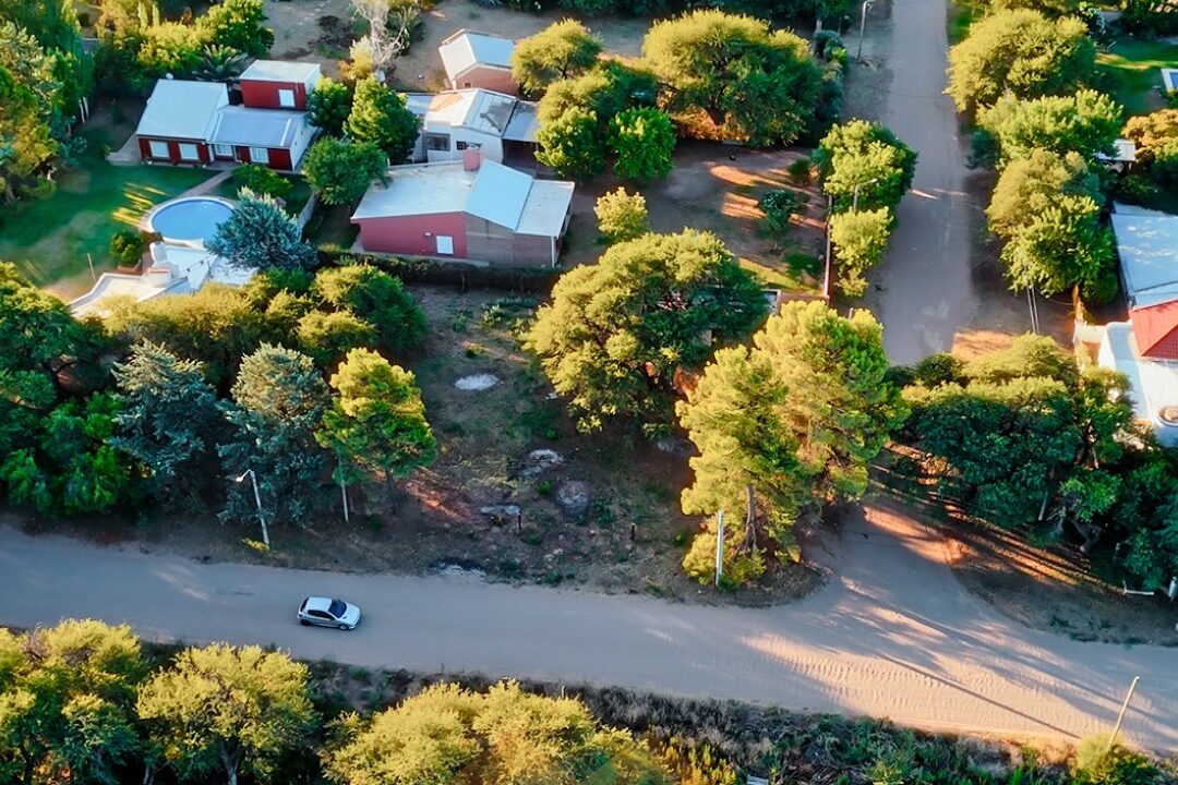 WhatsApp Image 2026-01-15 at 1.04.06 PM (1)