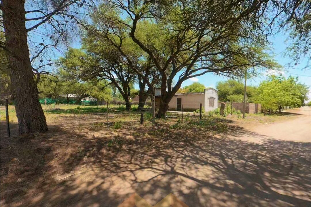 WhatsApp Image 2026-01-15 at 1.04.07 PM