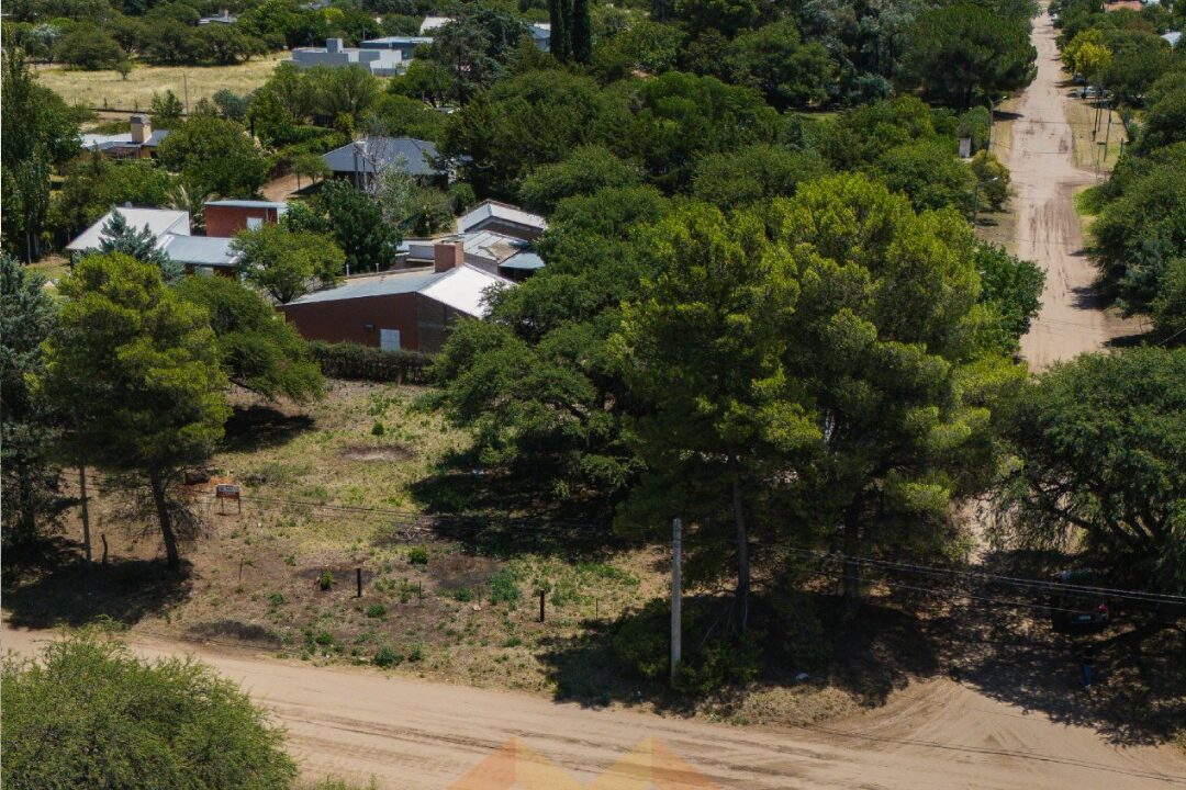 WhatsApp Image 2026-01-15 at 1.04.08 PM (1)