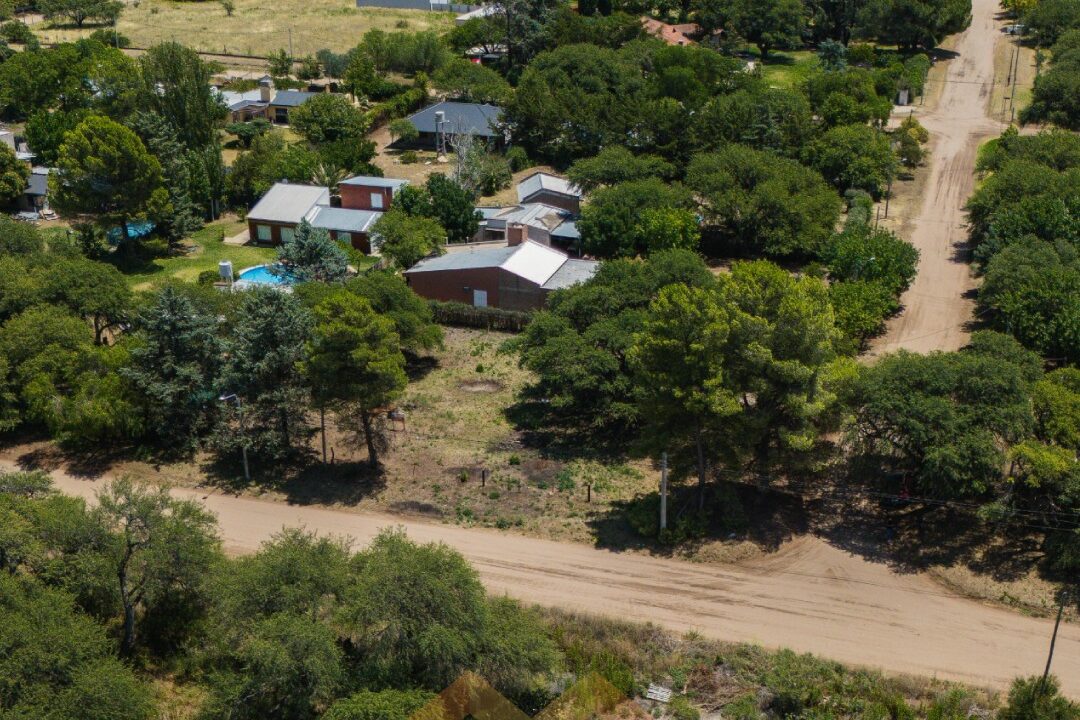 WhatsApp Image 2026-01-15 at 1.04.08 PM