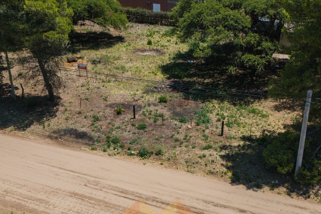 WhatsApp Image 2026-01-15 at 1.04.13 PM