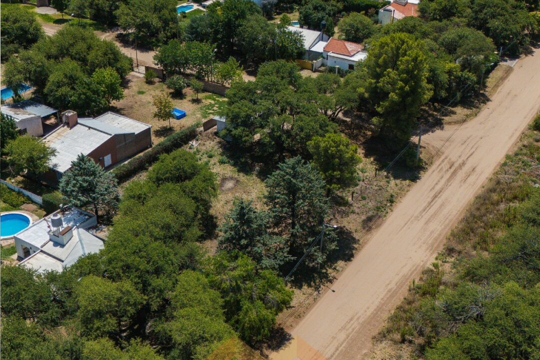 WhatsApp Image 2026-01-15 at 1.04.14 PM