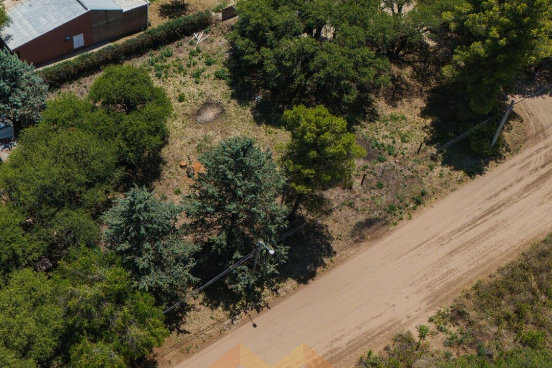 WhatsApp Image 2026-01-15 at 1.04.15 PM (1)