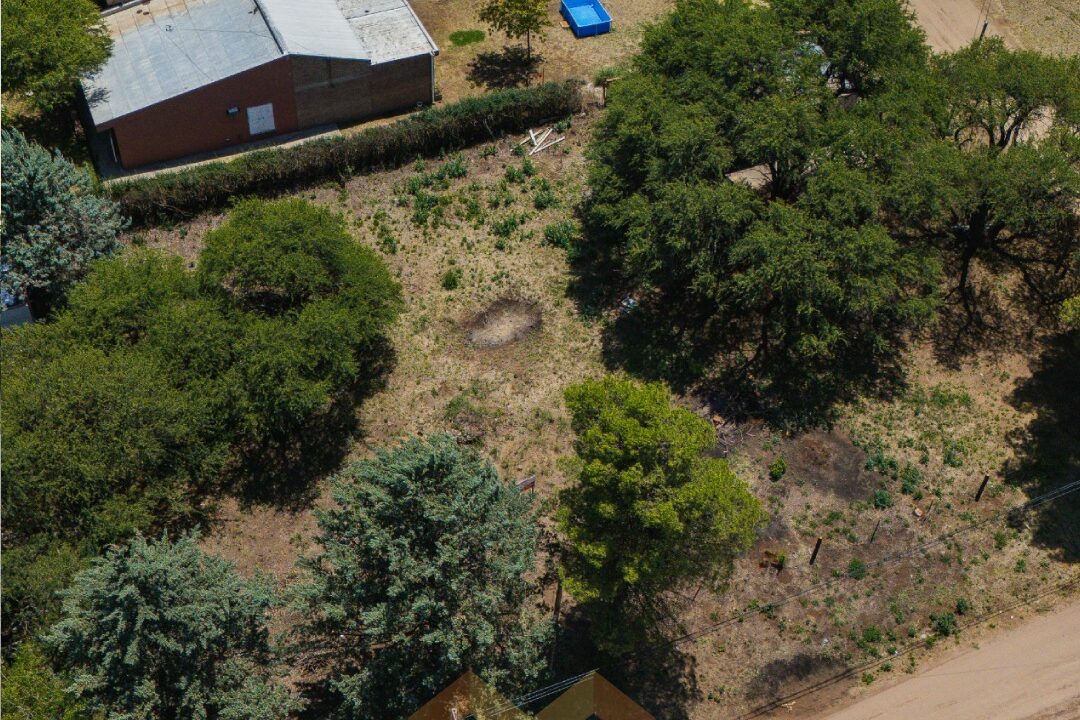 WhatsApp Image 2026-01-15 at 1.04.15 PM