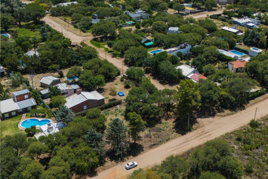 WhatsApp Image 2026-01-15 at 1.04.17 PM