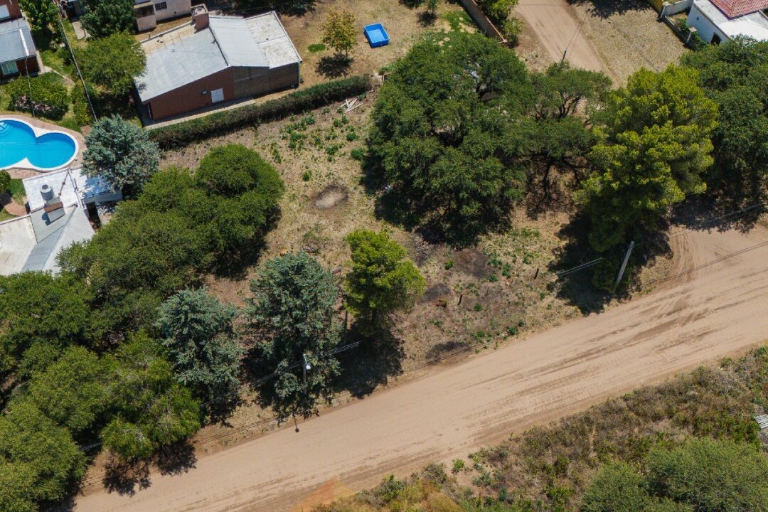 WhatsApp Image 2026-01-15 at 1.04.18 PM (1)