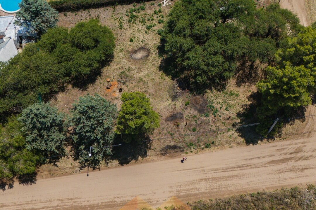 WhatsApp Image 2026-01-15 at 1.04.18 PM