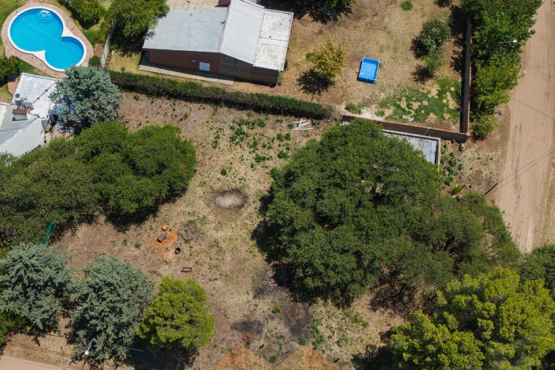 WhatsApp Image 2026-01-15 at 1.04.19 PM