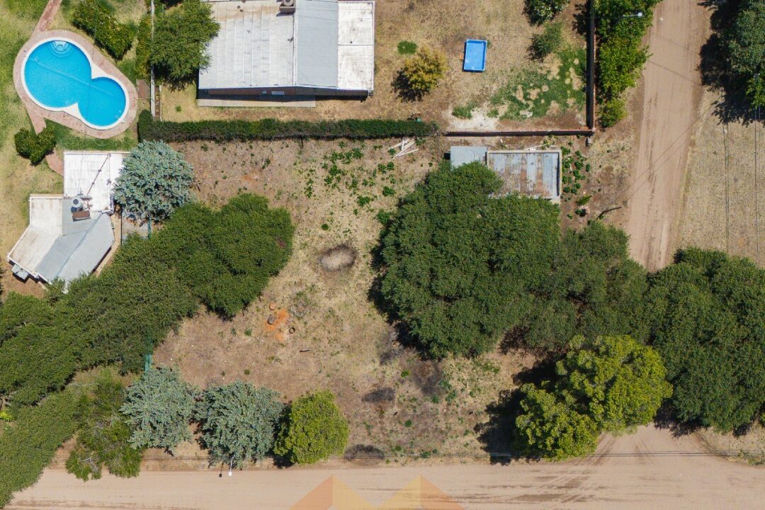 WhatsApp Image 2026-01-15 at 1.04.19 PM (2)