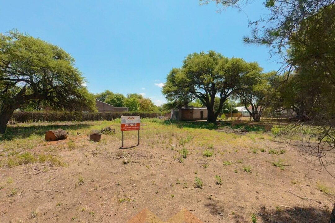 WhatsApp Image 2026-01-15 at 1.04.20 PM (1)