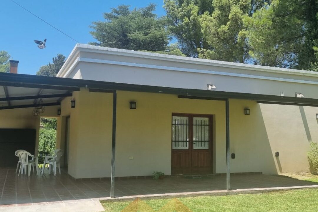 WhatsApp Image 2026-01-27 at 12.31.47