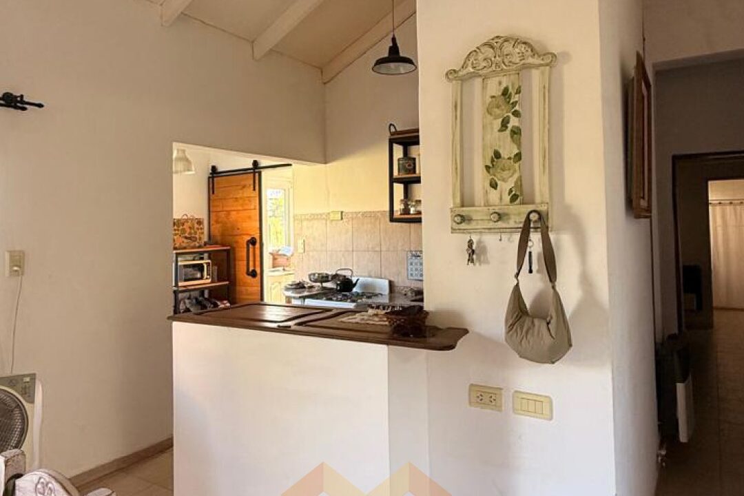 WhatsApp Image 2026-02-06 at 11.28.55