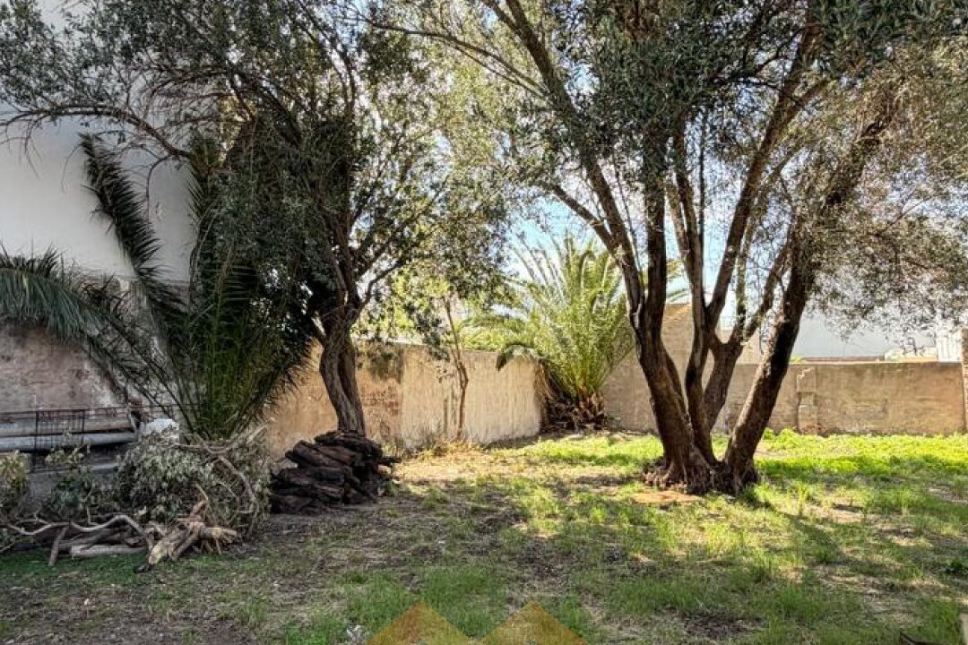 WhatsApp Image 2026-02-27 at 14.06.45