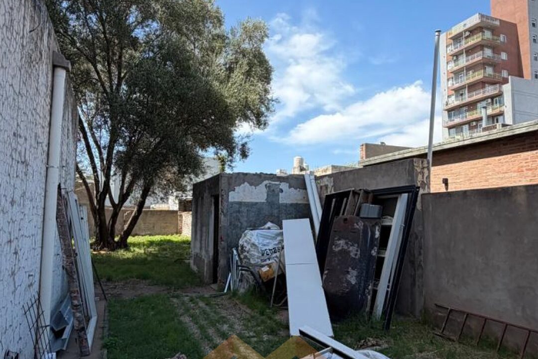 WhatsApp Image 2026-02-27 at 14.06.46