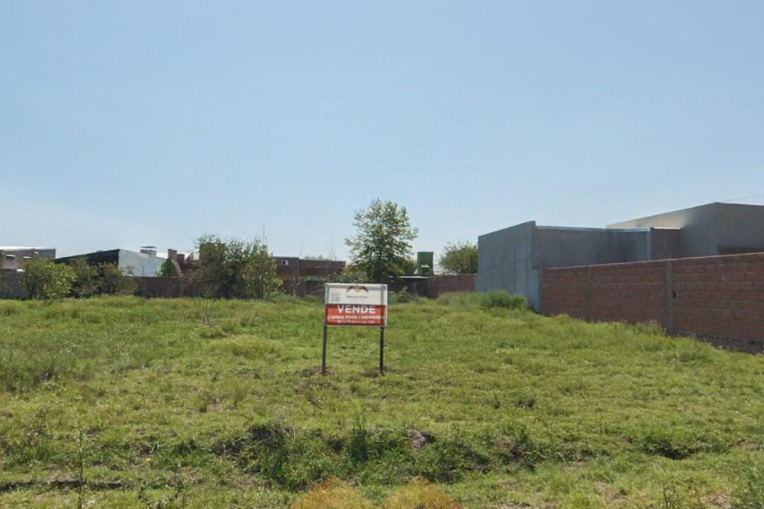 WhatsApp Image 2026-02-28 at 13.33.26