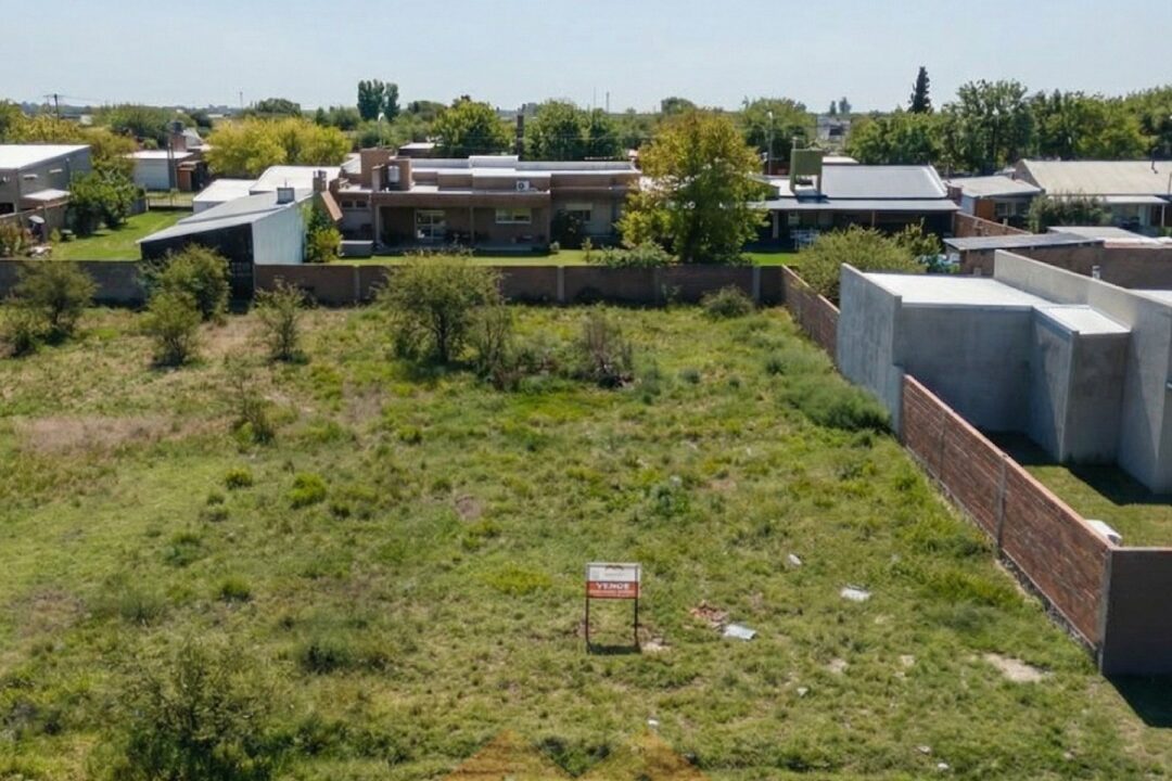 WhatsApp Image 2026-02-28 at 13.33.29