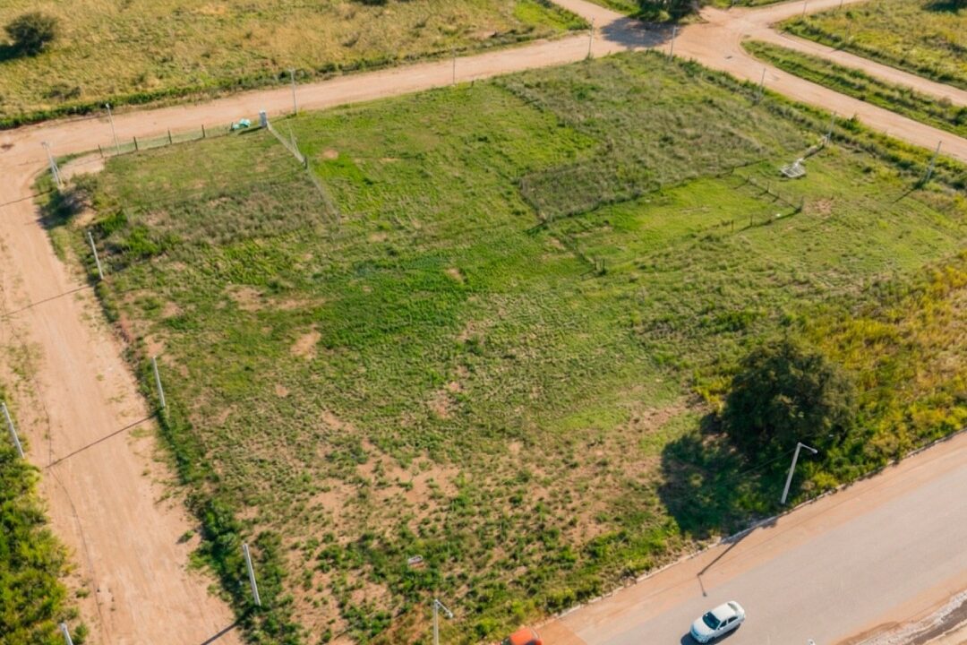 WhatsApp Image 2026-03-02 at 13.58.39