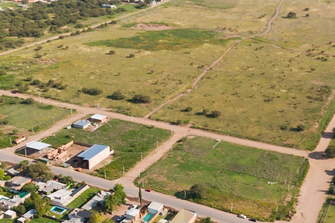 WhatsApp Image 2026-03-02 at 13.58.40