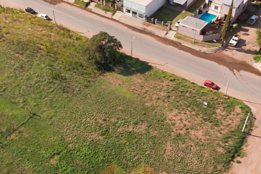 WhatsApp Image 2026-03-02 at 13.58.41 (1)