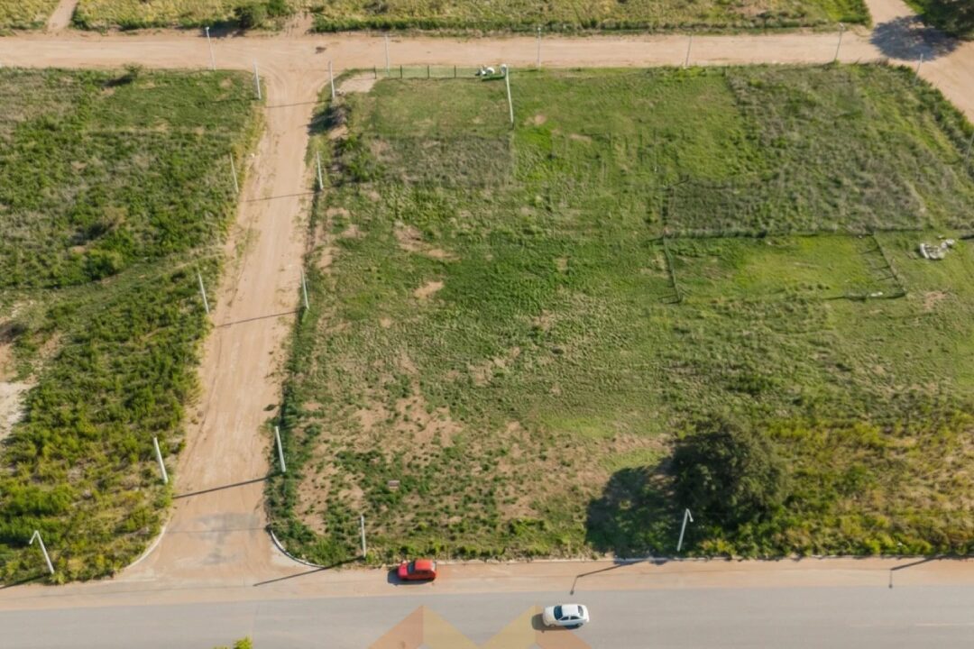 WhatsApp Image 2026-03-02 at 13.58.42 (1)