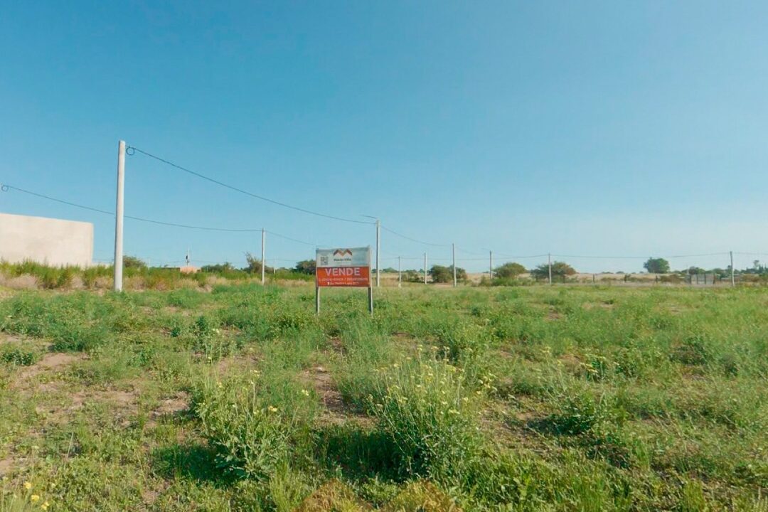 WhatsApp Image 2026-03-02 at 13.58.44