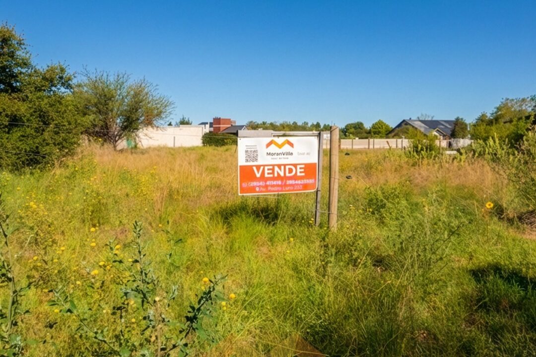 WhatsApp Image 2026-03-09 at 11.40.19