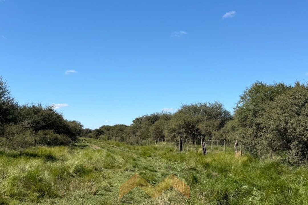 WhatsApp Image 2026-04-14 at 11.07.26