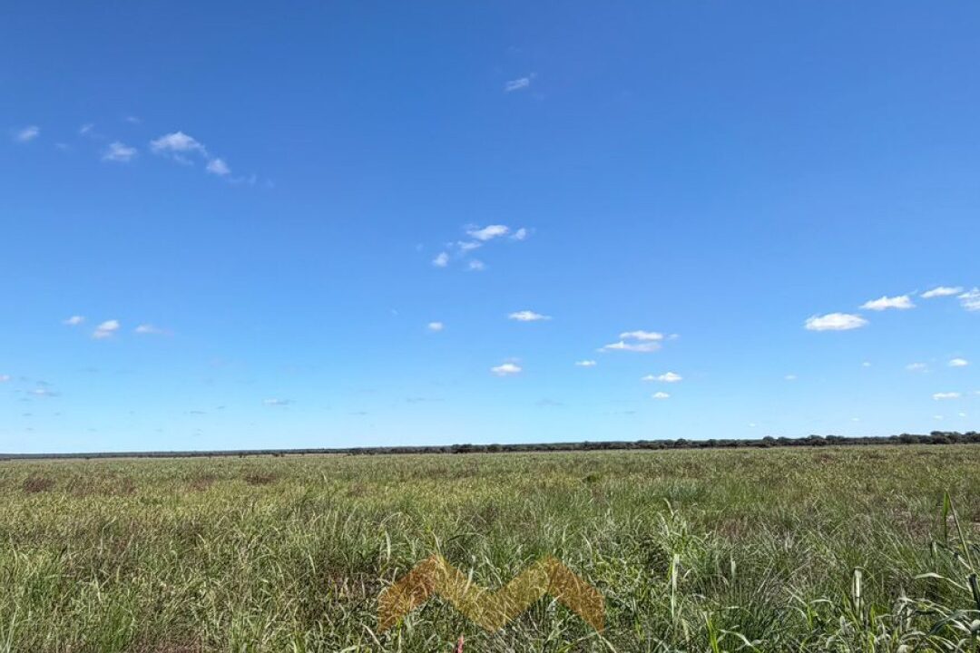 WhatsApp Image 2026-04-14 at 11.07.26 (2)