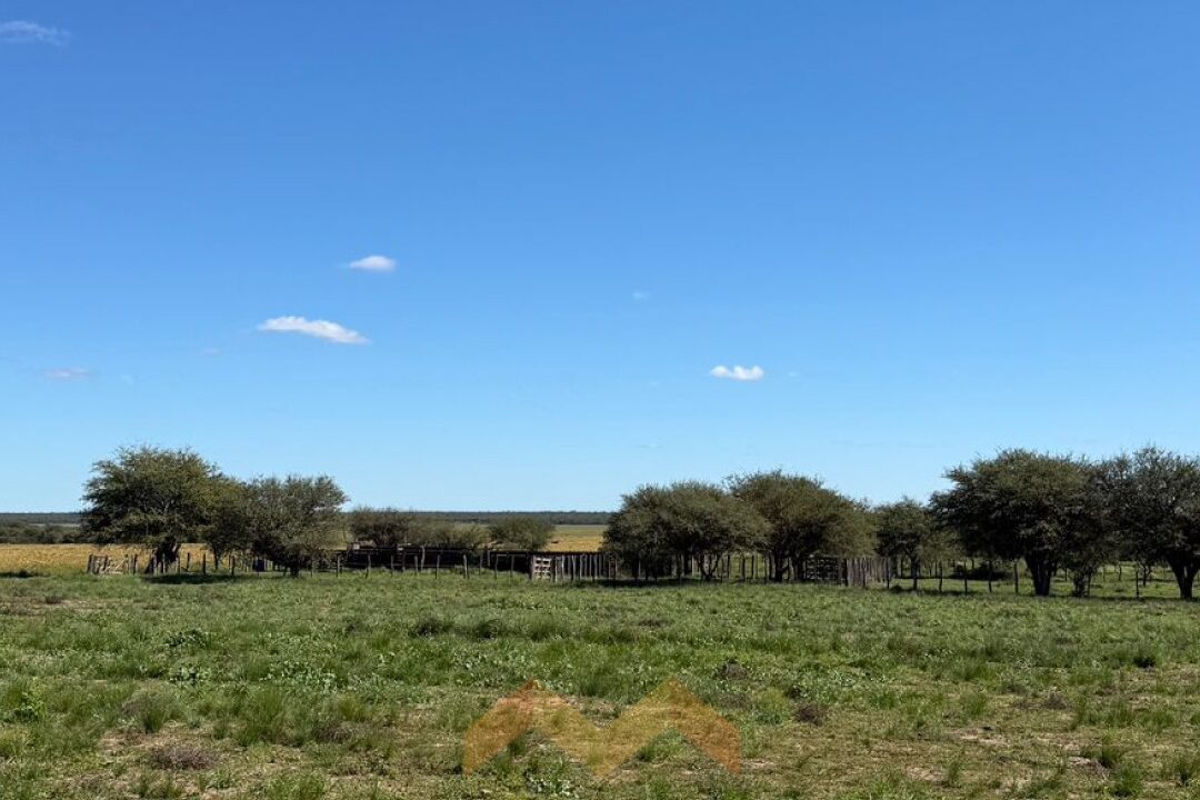 WhatsApp Image 2026-04-14 at 11.07.27 (1)