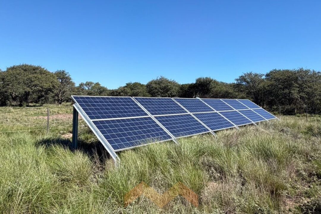 WhatsApp Image 2026-04-14 at 11.07.27